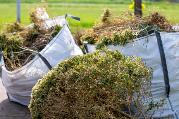 Best Dumpster Rental Services  in Summerlin South, NV