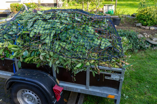 Professional Junk Removal Services in Summerlin South, NV
